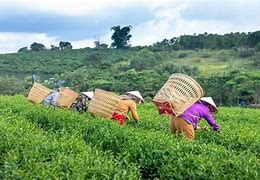 Peluang Usaha Modal Kecil Di Desa